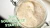 Easy Sourdough Starter Recipe Make A Wild Yeast Starter At Home