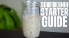 How To Make And Maintain A Sourdough Starter